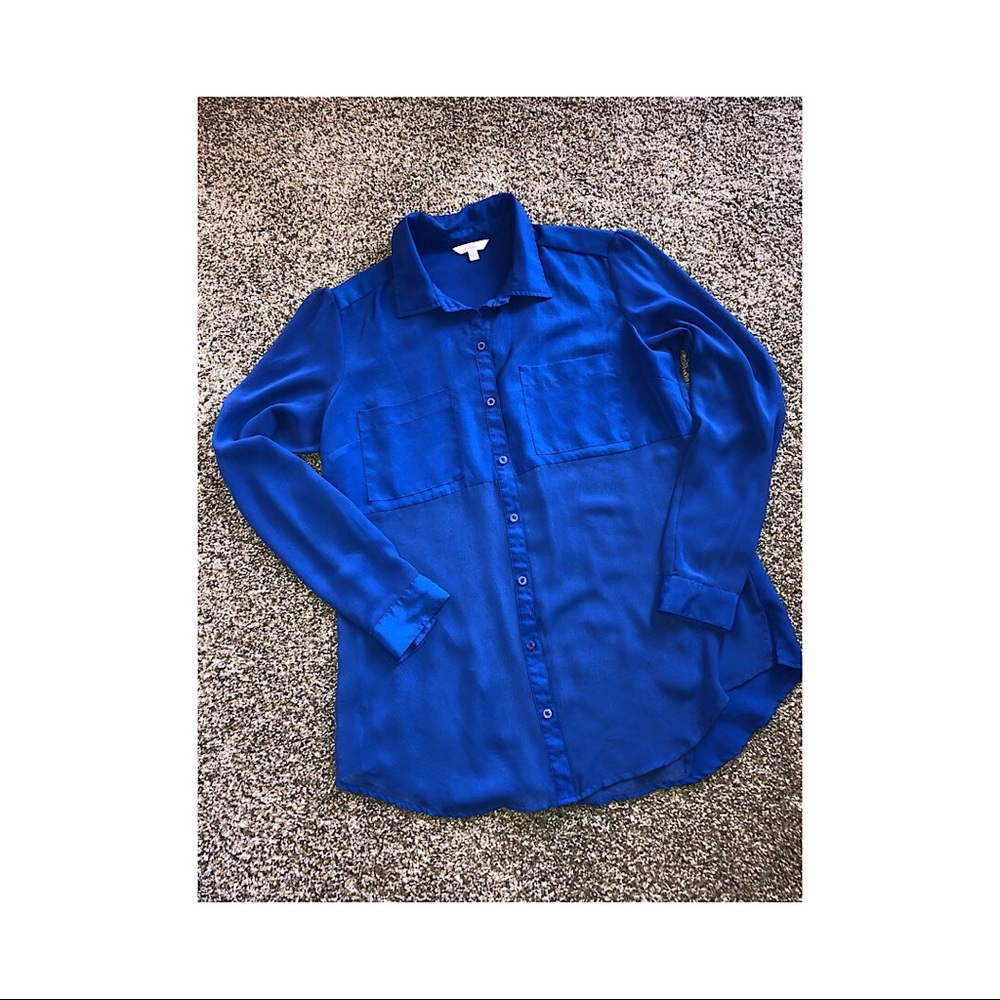 Royal Blue Semi-Sheer Long Sleeve Button Up Size L